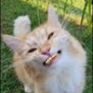 Meet your Posher, Marlon